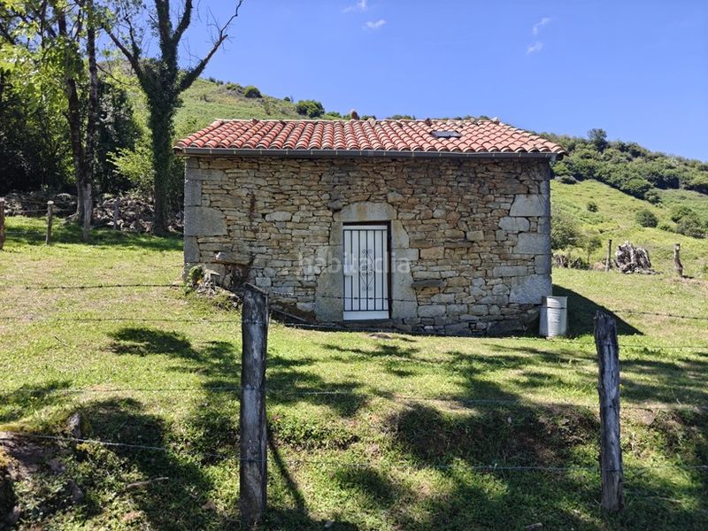 Foto 4f8e0cad-2534-421a-b925-ffb926d4aad0. Finca rústica a Proaza