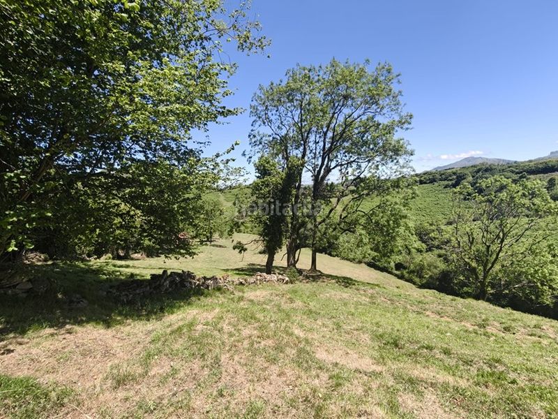 Foto 5b960897-a861-485d-bcde-2eb550159c56. Finca rústica a Proaza