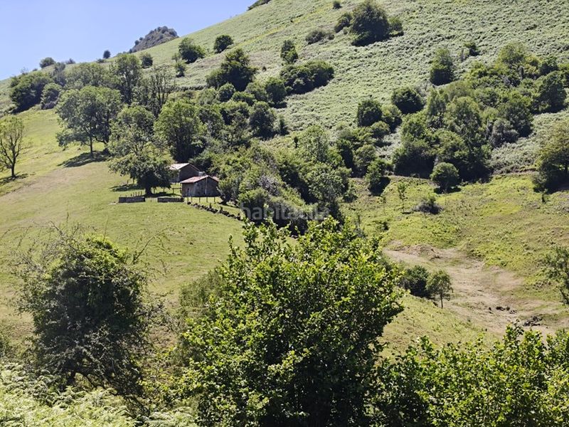 Foto 77b5e37d-9892-45b7-a1bb-9e850c688b36. Finca rústica a Proaza