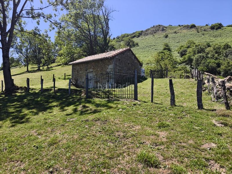 Foto 7ed5efed-a533-4a43-ba1f-0bf3e0337c74. Finca rústica a Proaza