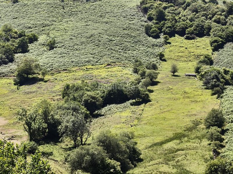 Foto 935471d9-6a64-4564-8072-79aa24091975. Finca rústica a Proaza