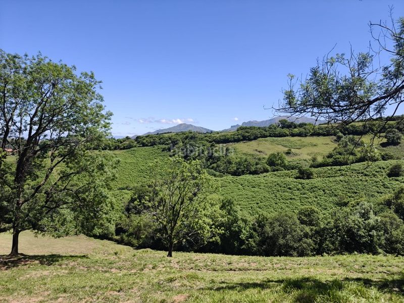 Foto 97c7d50f-73b8-4f84-924e-0255a0aee2e5. Finca rústica a Proaza