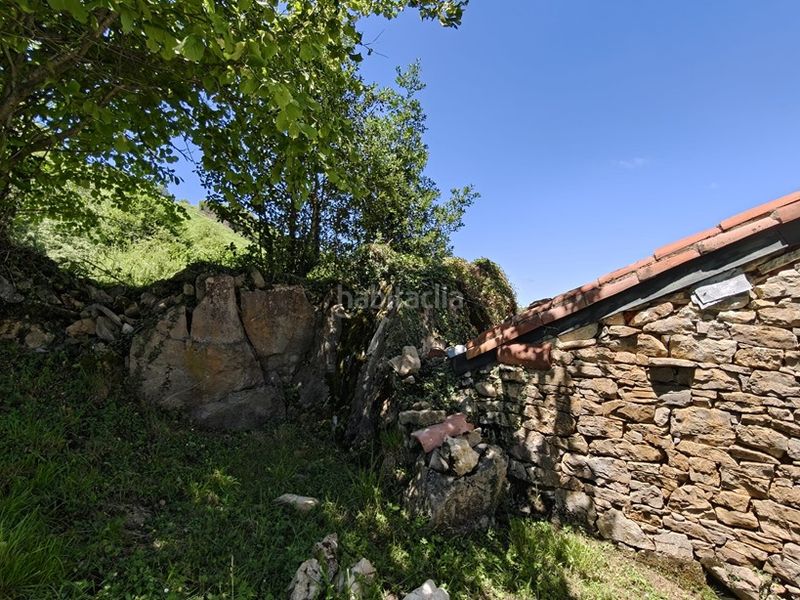 Foto ad6e79c9-c344-43f3-8df4-b4c4429e5988. Finca rústica a Proaza
