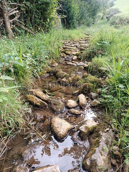Foto e99a45e4-ecd5-4d9e-aab7-6afd41c246ac. Finca rústica a Proaza