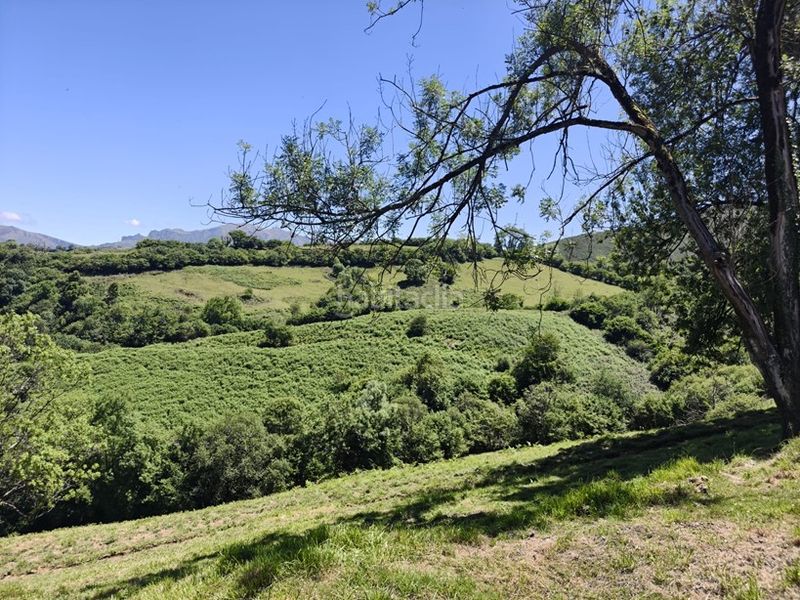 Foto f6cb53ec-c7e0-4321-9efe-fd48ebcbe077. Finca rústica a Proaza