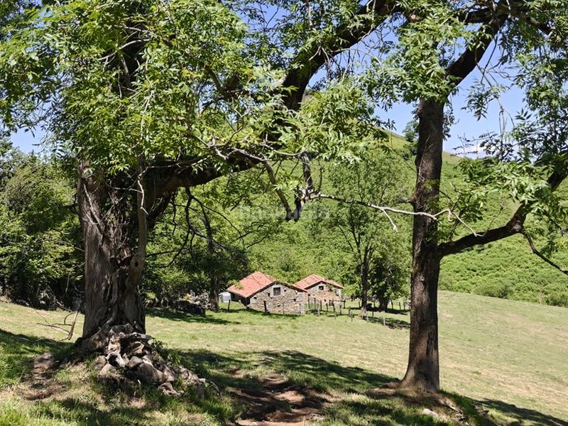 Foto ff67b893-ad5f-4178-892e-20e7287c9b1c. Finca rústica a Proaza