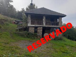 Masia a Aller. Cabaña montaña central, aller
