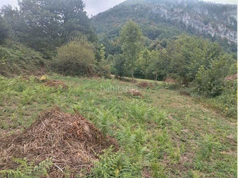 Foto 585a7a7e-4cb4-4b90-b3c8-64dd69c14178. Masía en lugar caleao 115 cabaña en parque reserva redes, en Caso