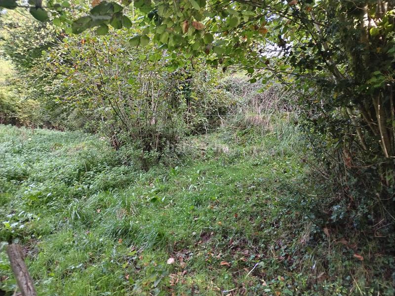 Foto 0ac851c9-ea12-4306-88ed-a89b1a7747c3. Masia a Yernes y Tameza