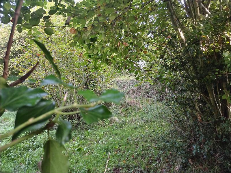 Foto 6e0edb83-d6d9-4b89-b358-55c2d2b02deb. Masia a Yernes y Tameza