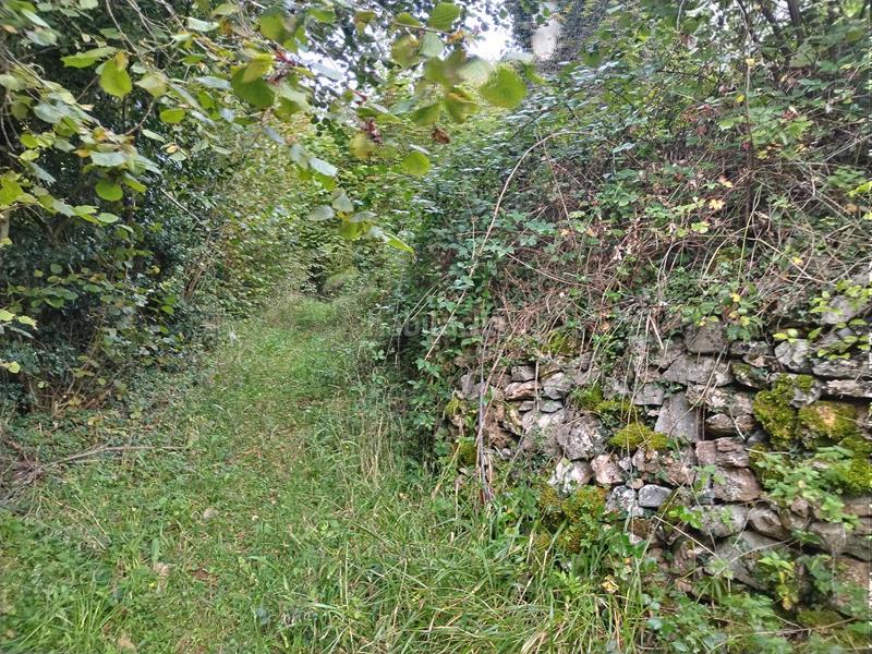 Foto 7dc2cf33-509e-4952-bed2-cdf4bb4915ac. Masia a Yernes y Tameza