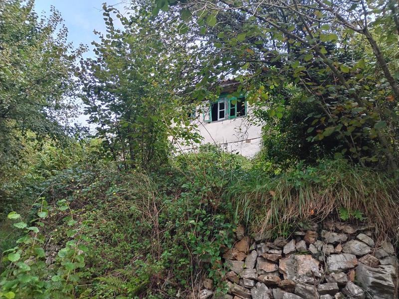 Foto 96d9b298-d239-4380-9428-51934bee8e4d. Masia a Yernes y Tameza