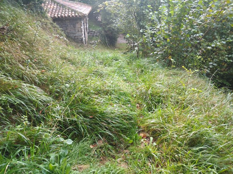 Foto aebf7eda-32ef-43de-b02c-b9d9360d9941. Masia a Yernes y Tameza