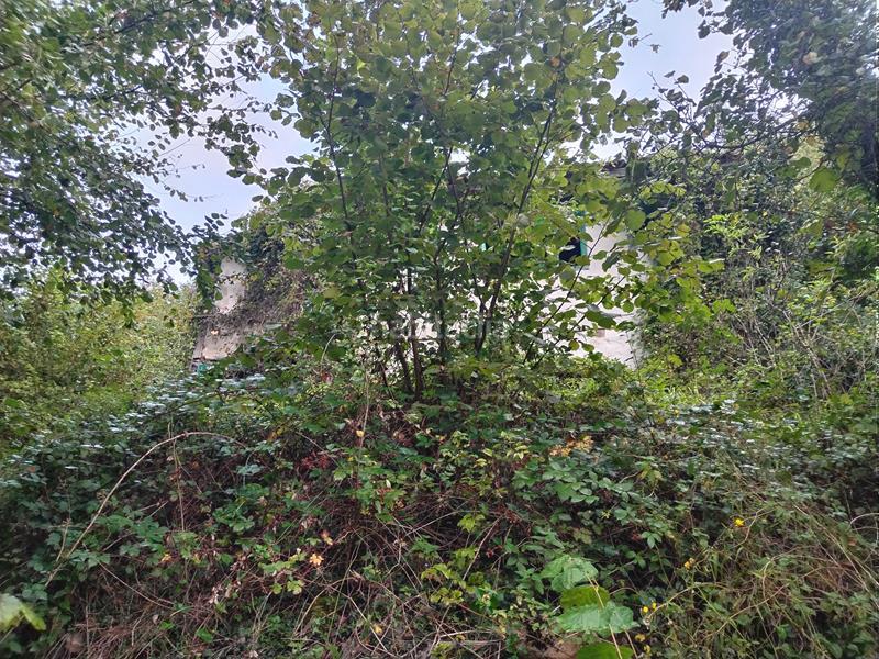 Foto b4adb585-282e-4130-b057-109bedc13a69. Masia a Yernes y Tameza