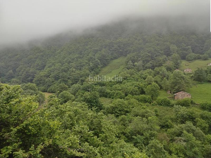 Foto d1439452-7b63-4026-886b-c9a4f2fc11d9. Masía en caserio cuevas 3 tres cabañas en cuevas. en Aller