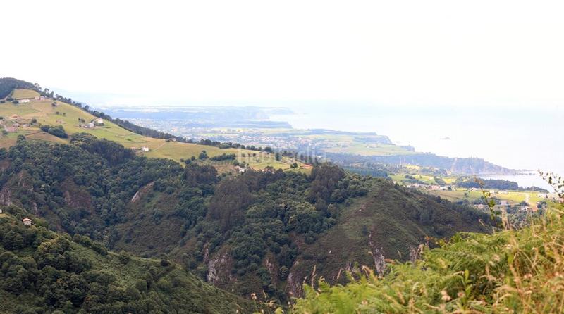 Foto 15a6376d-ba1a-44d1-8ab8-a268b3786385. Wohngrundstück in Cudillero