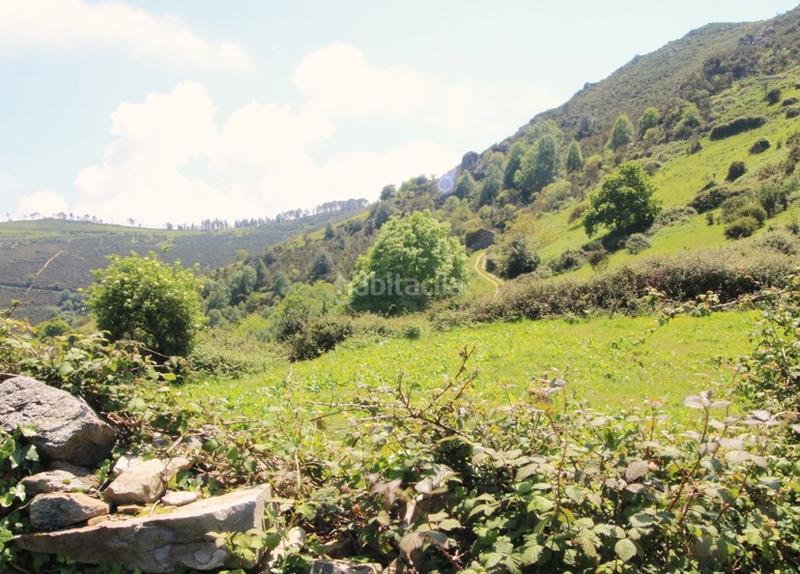 Foto 21c22e4b-38f6-4c9c-b7cf-a3d27d0a83e4. Wohngrundstück in Cudillero