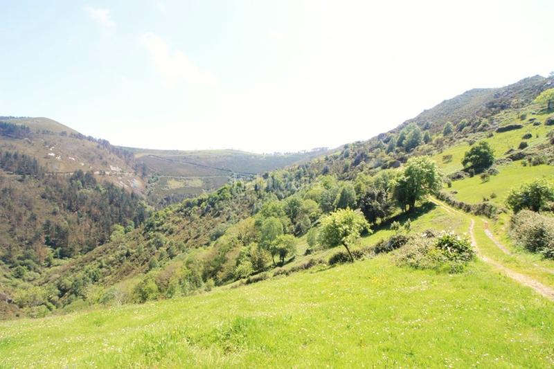 Foto 59124119-30d0-4dbb-83fd-e04557942ba4. Wohngrundstück in Cudillero