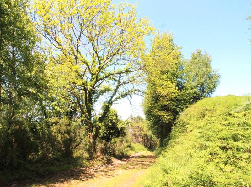 Foto 73b2a3dc-83f8-4ac0-905e-a4ea5e62fffc. Wohngrundstück in Cudillero