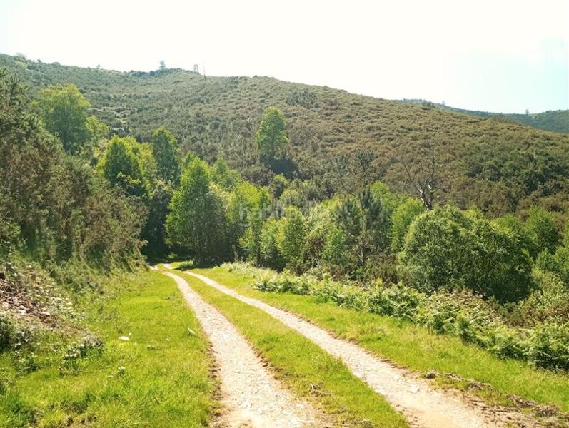 Foto da1b3bd4-be28-4ba3-b8c3-5864f879f0fd. Wohngrundstück in Cudillero