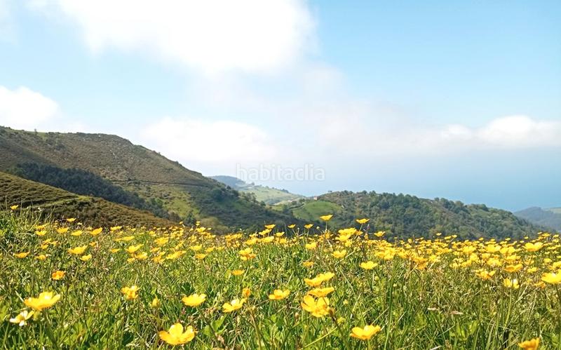 Foto fa5694f0-2002-43f6-a794-080b2f3d57df. Wohngrundstück in Cudillero
