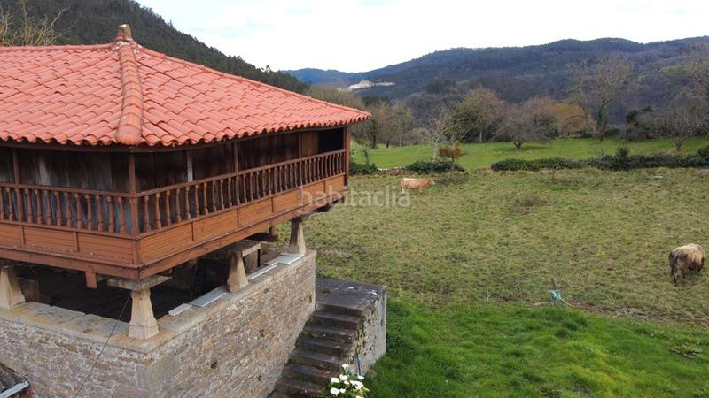 Foto 331c7b5a-4bd7-4be2-a123-ff00716f4d66. Masia a n/a a Salas