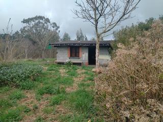 Masía  Camino de caneo a las pontigas 1352. Finca con casa en valdes