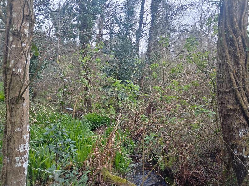 Foto 7fc6bdad-8b9a-4da6-bbb6-b86657b7451a. Masia a camino de caneo a las pontigas 1352 a Valdés