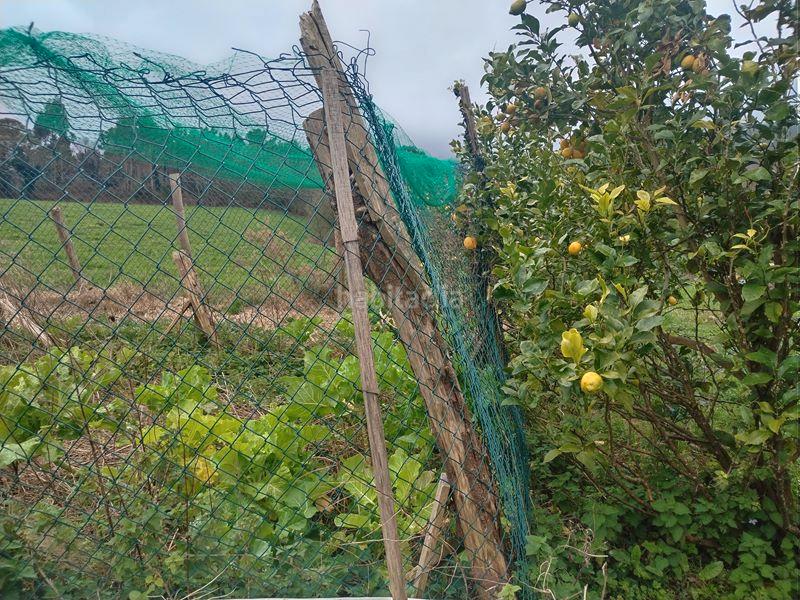 Foto 8ed60942-ae45-430d-b292-7e78d4a5d343. Masia a camino de caneo a las pontigas 1352 a Valdés