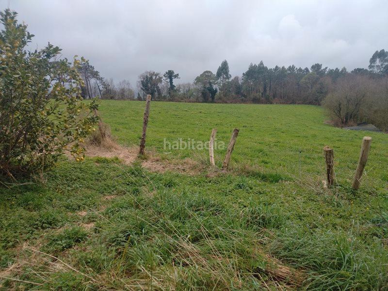 Foto c36ddcd5-0e50-4a69-88e7-0bbf073bc7b9. Masia a camino de caneo a las pontigas 1352 a Valdés