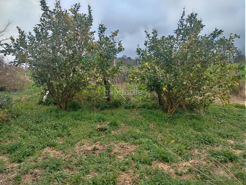 Foto d598e344-ed14-4f2b-a66f-849971bdff79. Masia a camino de caneo a las pontigas 1352 a Valdés