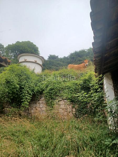 Foto 0bf76d14-838f-49a7-8e5e-53e4e5808bcd. Casa en lugar ambas 17 casona asturiana, ambas. en Grado