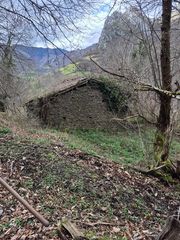 Finca rústica a N/a. Finca con cuadra en caso