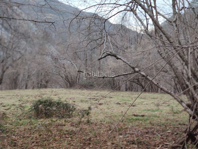 Foto 43c8517a-2da1-4913-b3a9-fba8295e918f. Finca rústica a n/a a Caso