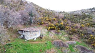 Mas  N/a. Cabaña cea y cetin, parres