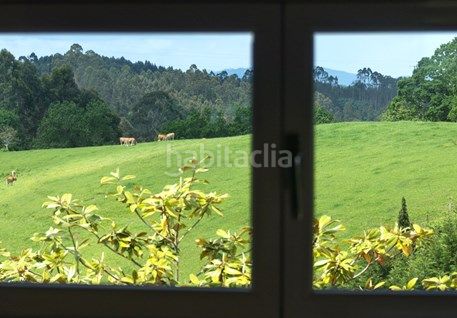 Foto 1cfcdb1b-4ec1-46ee-aa17-fe595cae6b18. Edifici a les quintanes 24 a Caravia