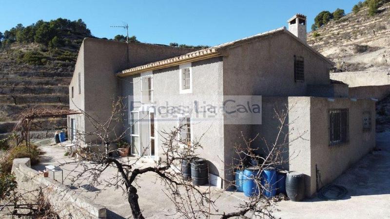 Foto a761e401-6e76-4a48-be54-f1d9bf598728. Mas dans Relleu