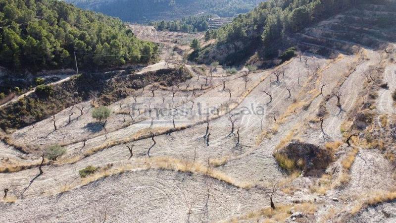 Foto aeb1d083-f022-4226-9dd1-cbef5022c77a. Mas dans Relleu