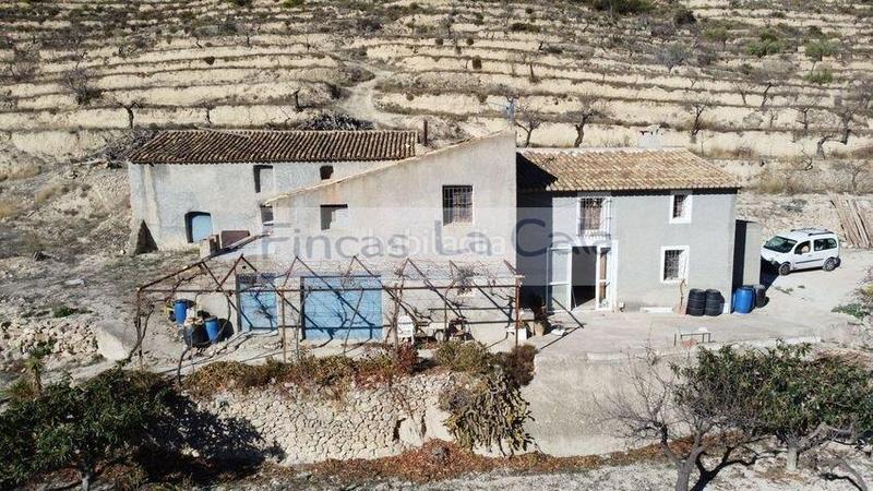 Foto b618952b-5563-4831-9a65-22c623dcb4c0. Mas dans Relleu