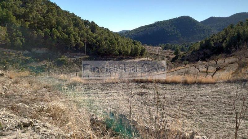 Foto bfa98a5e-53ad-48a9-ba55-e50ce96bd77b. Mas dans Relleu