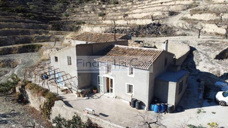 Foto c635603d-299f-4099-8a8c-d01f08dfc722. Mas dans Relleu