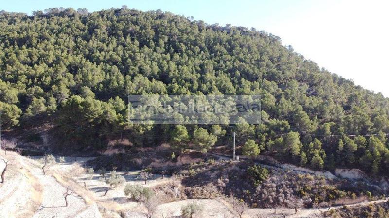 Foto c69b56ec-c733-4305-86b8-762f820a9541. Mas dans Relleu