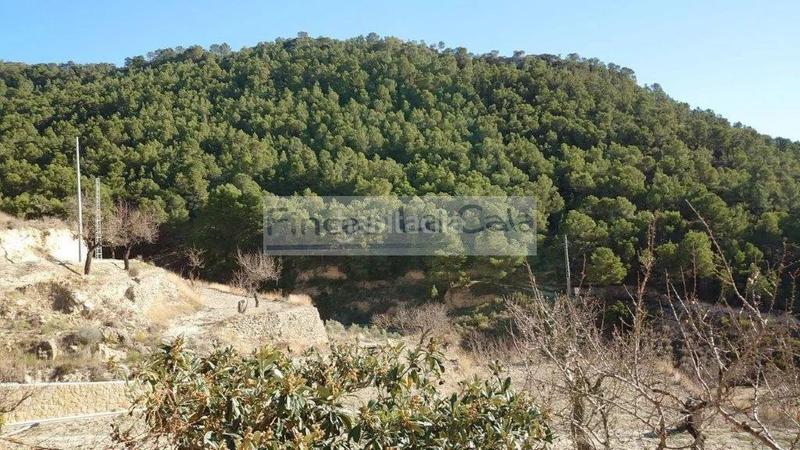 Foto d345b021-0c76-4a54-8fb1-7c91f756c2f9. Mas dans Relleu