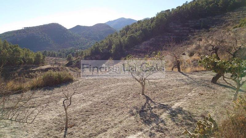 Foto ea226e6b-dc8e-4828-b201-2f147128690d. Mas dans Relleu