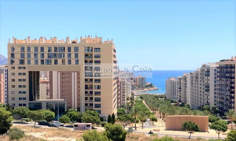Foto 5596cd6e-10a2-433d-93f5-3fec4ea46032. Apartament amb piscina a Bulevar-Puerta Mítica Vila Joiosa (la)