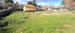 Terreno residencial en Calle roble 1183. Amplio terreno urbano a dos calles
