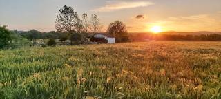 Proprit en Camino real 57. Finca rustica