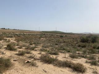 Masia en Vera Ciudad. Parcela con agua