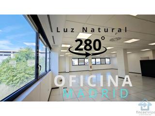 Lloguer Oficina en Buena Vista. Alquilo oficina con 280grados de luz natural m258