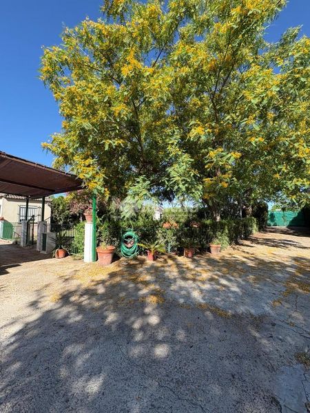Foto 1a400138-7f74-4232-91de-650a9ad7afc9. Bauernhof in Rinconada (La)